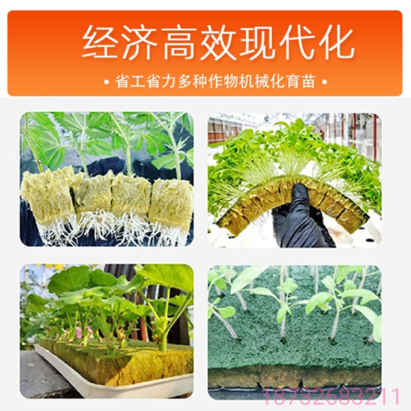 农岩棉育苗无土栽培环保便捷懒人室内园艺大棚蔬菜水果种植岩