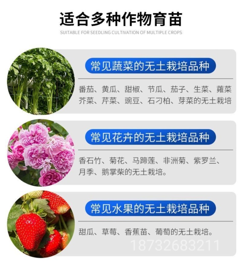 农岩棉育苗无土栽培环保便捷懒人室内园艺大棚蔬菜水果种植岩