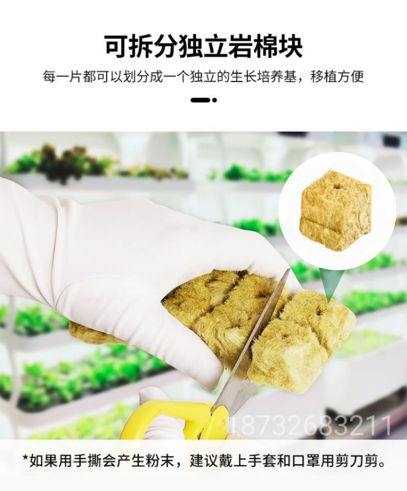 农岩棉育苗无土栽培环保便捷懒人室内园艺大棚蔬菜水果种植岩