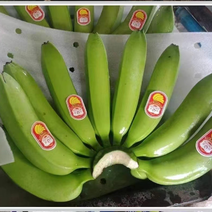 常年提供特价香蕉、全国可发