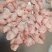 肉筋蘑菇筋新货手续齐全厂家直发量大价优