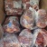 【牛肉】当地草膘黄牛精品五斤包卷！鲜干冻品手续齐全！
