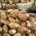 毛芋头精品芋头大量有货产地发货按需加工面向全国发货