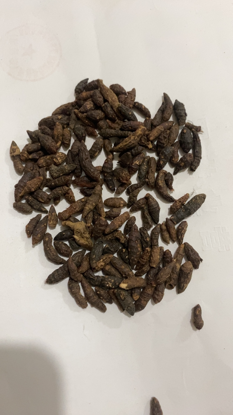 香附