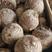 山东芋头种子毛芋头种子亩产高量大从优全国发货