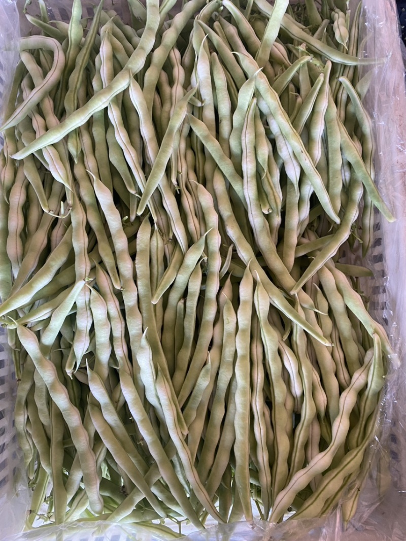 芸豆