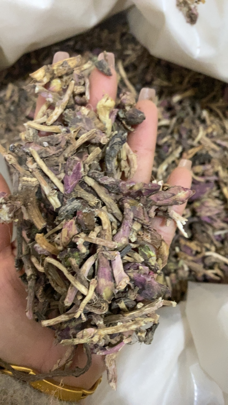 款冬花