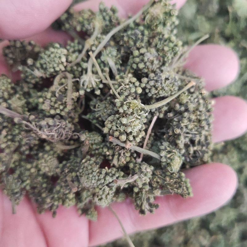 人参花干货人参花欢迎选购！
