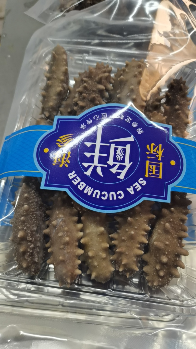 鲜食海参