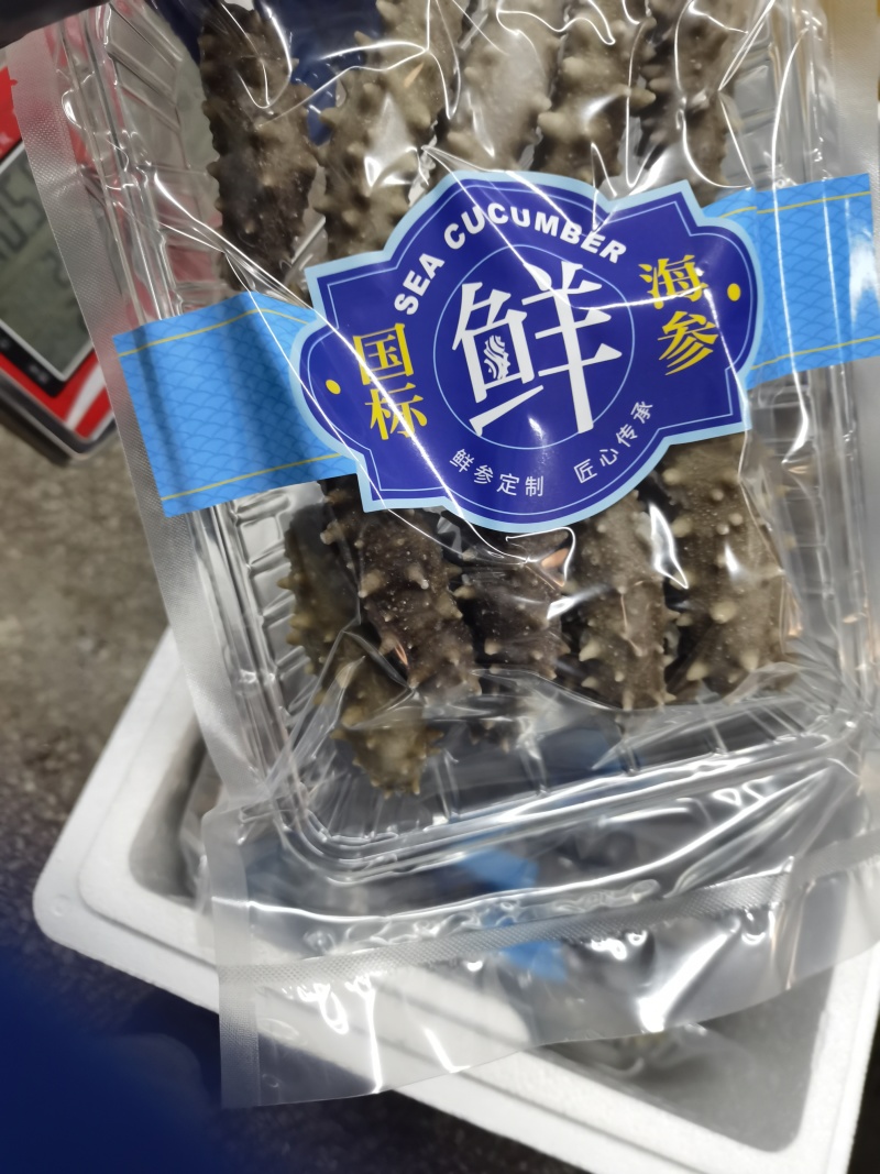 鲜食海参