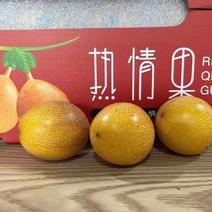 云南热情果稀有品种纯甜水果一件可批发对接各种渠道老板