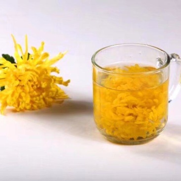 金丝皇菊花茶