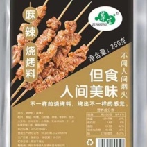 烧烤料工厂直发可定做加工