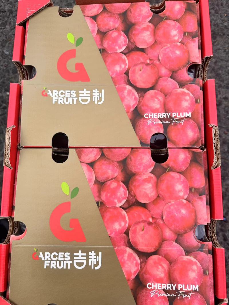 智利樱桃李进口李子澳洲李子长期供货支持代发社区团购