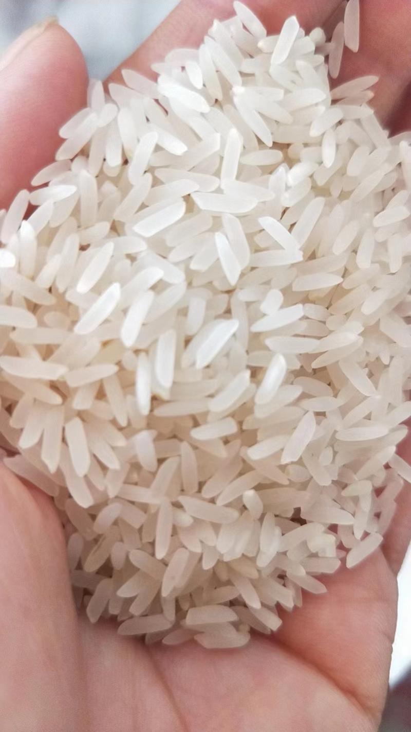 精品大米香米货源充足量大从优质量保证欢迎咨询
