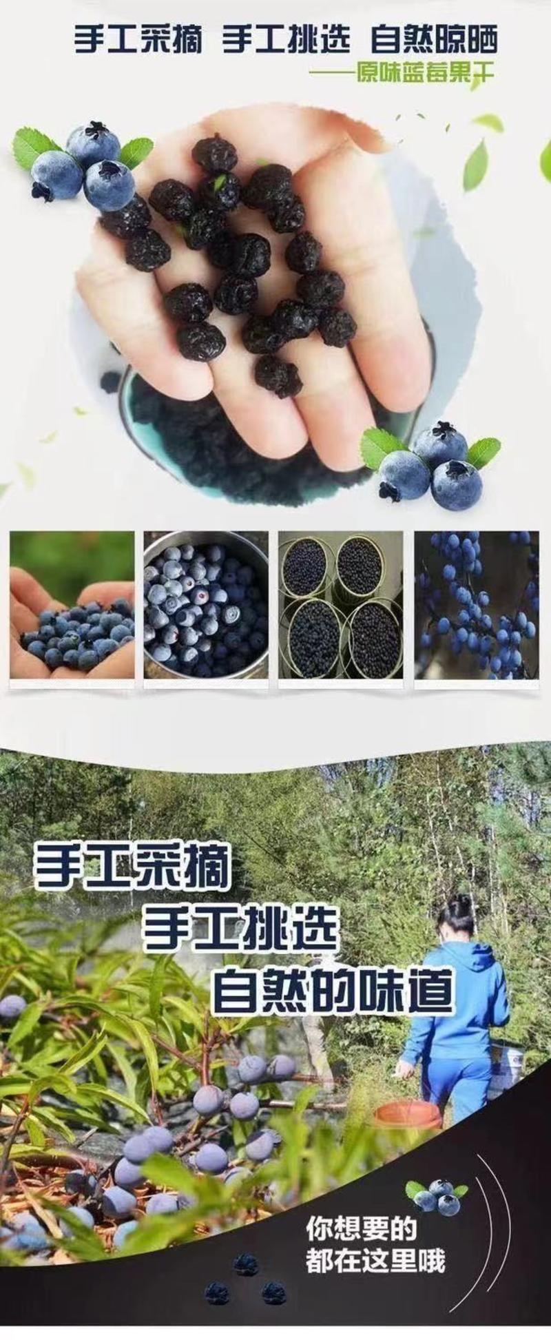 【大颗粒】野生蓝莓干独立小包装食品批发东北特产老少皆宜零