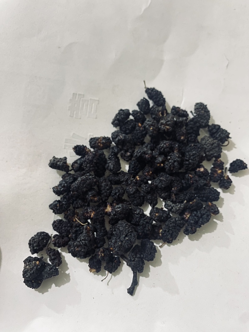 桑葚子