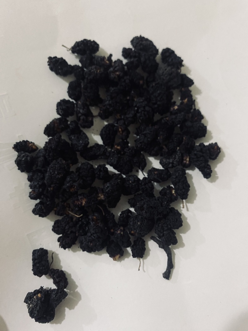 桑葚子