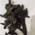 元参