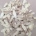 雪域高原优质蛋黄芯黄芪切片0.6—2.5厘米，需要的联系