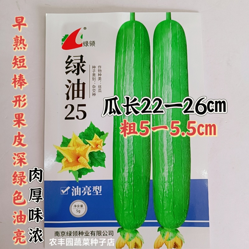 绿领绿油25丝瓜种子短棒形丝瓜种子果皮深绿色油亮肉厚味浓