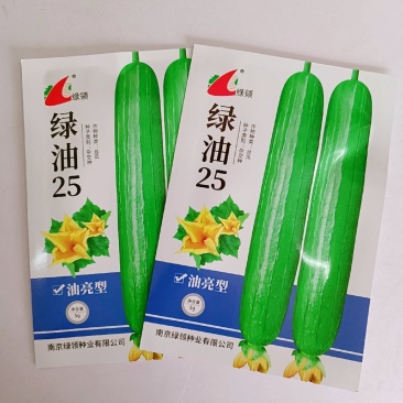 绿领绿油25丝瓜种子短棒形丝瓜种子果皮深绿色油亮肉厚味浓