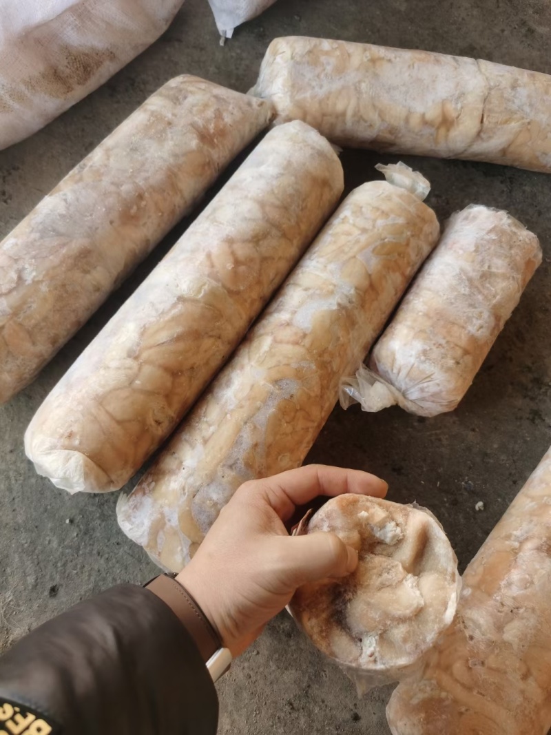 羊副产品羊捆肠油肠一卷5斤品质保证羊肠子捆肠
