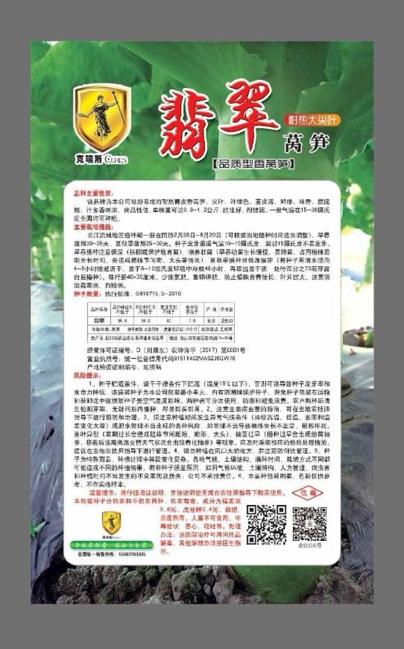 莴笋种子翡翠耐热品质型香尖叶2＿8月高温期适宜种植
