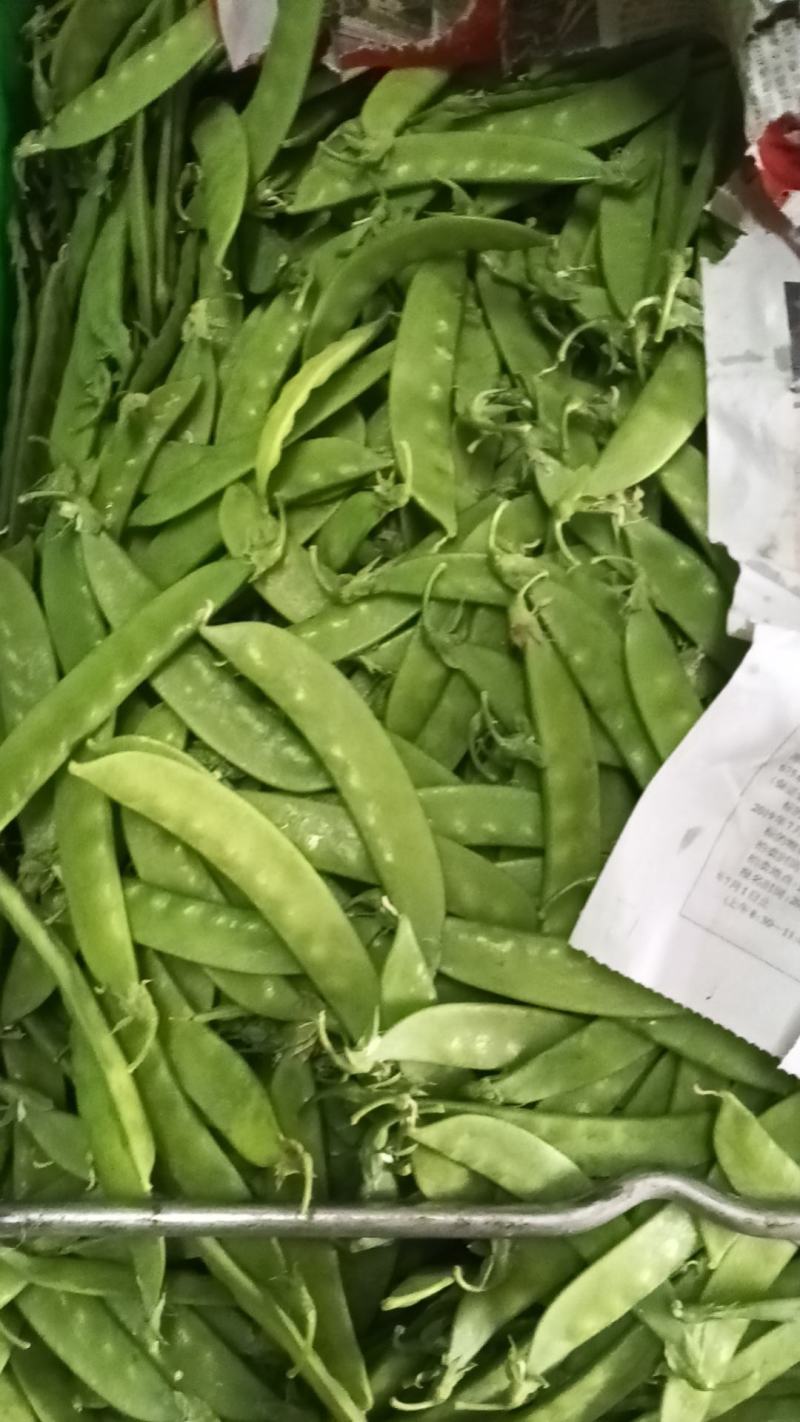 荷兰豆产地直发品质保障量大优惠对接商超市场社区团购