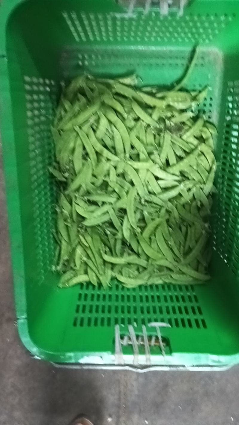 荷兰豆产地直发品质保障量大优惠对接商超市场社区团购