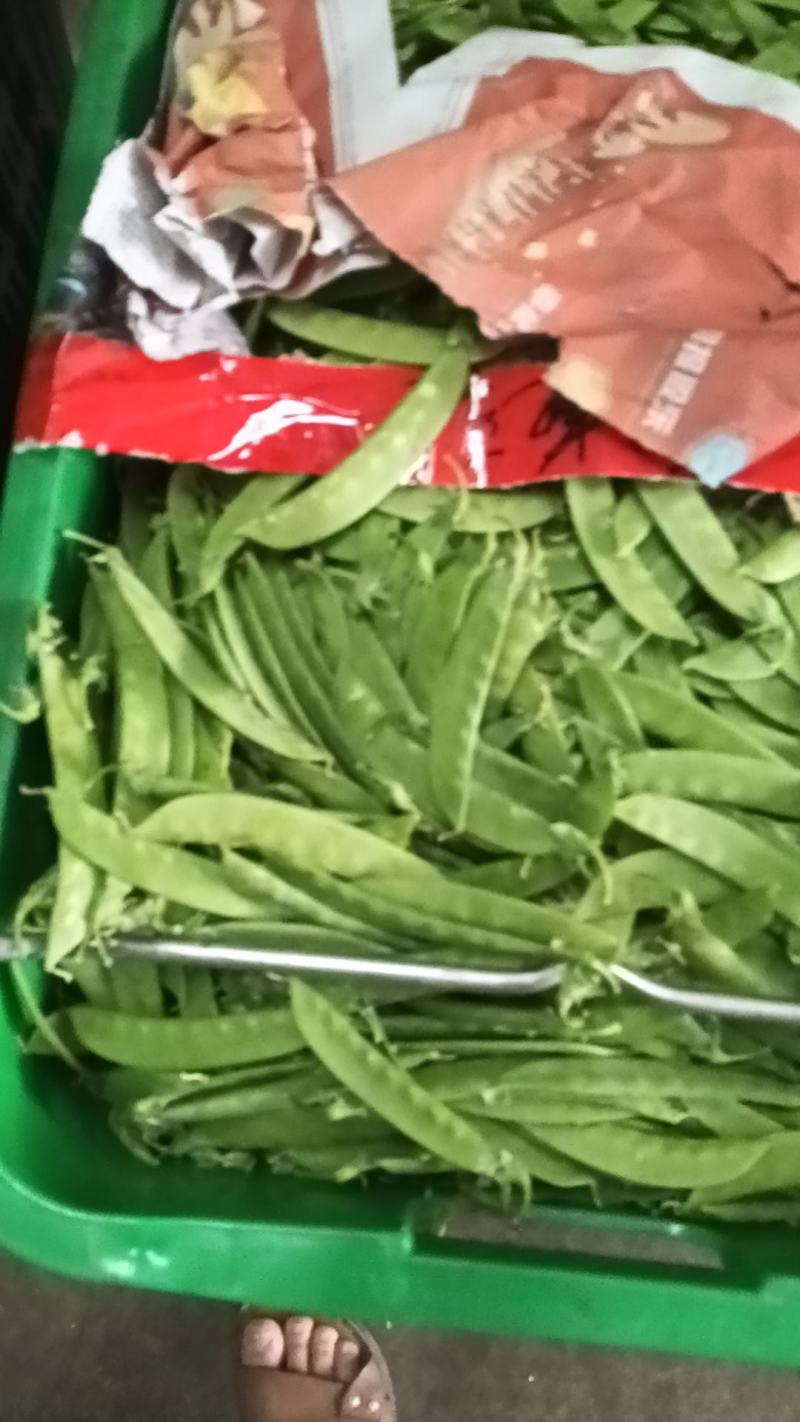 荷兰豆产地直发品质保障量大优惠对接商超市场社区团购