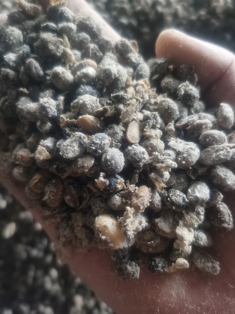 豆粕肉粉生物有机肥/10亿菌/有机质60/脐橙有机菌