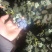 山东蓝莓花25L11F6等大量上市全国发货