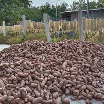 河北精品纯红薯粉条，产地一手货源，农家自然晾晒，包装可选