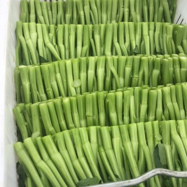 广东梅州兴宁市菜苔