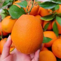 江西赣州甜橙子精装脐橙甜新鲜水果批发价
