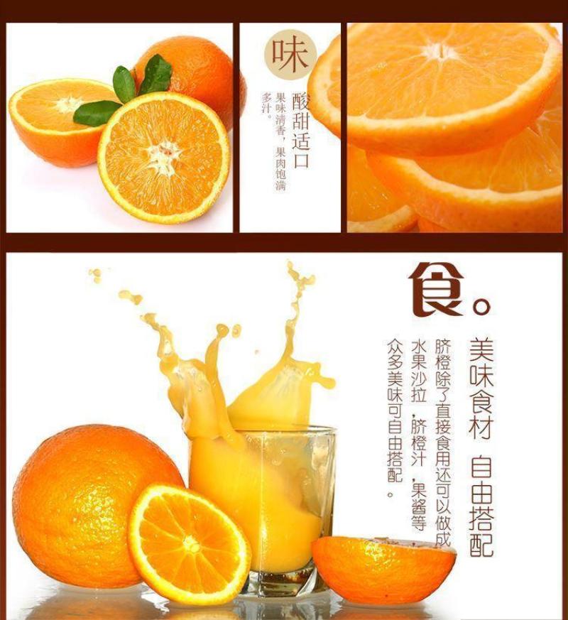 江西赣州甜橙子精装脐橙甜新鲜水果批发价，