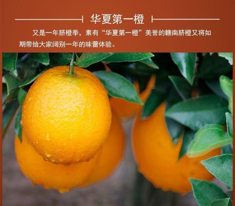 江西赣州甜橙子精装脐橙甜新鲜水果批发价，