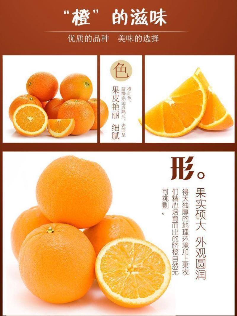 江西赣州甜橙子精装脐橙甜新鲜水果批发价，