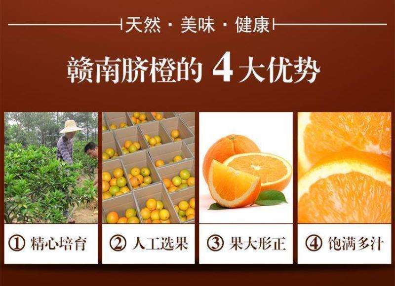 江西赣州甜橙子精装脐橙甜新鲜水果批发价，