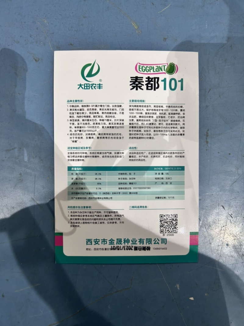 秦都101早熟膨胀快抗病好青皮茄子白肉基地