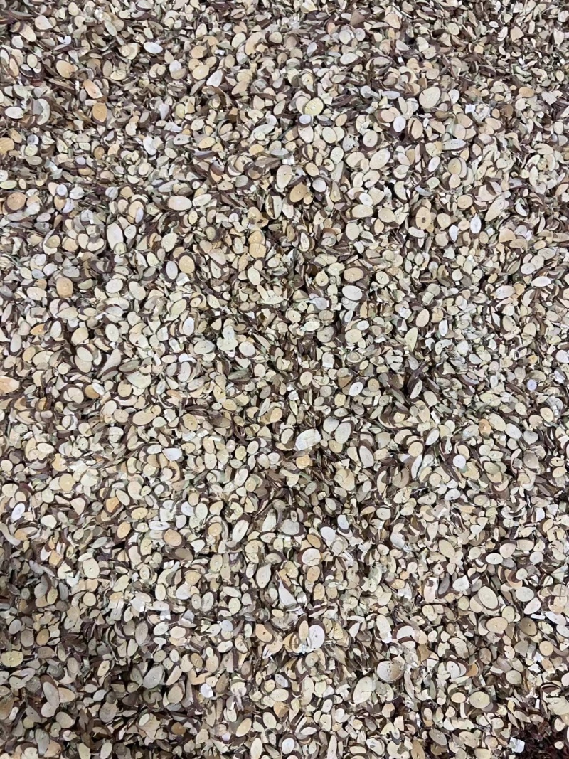 上等桑枝片，桑枝饮片，足浴包用料，药厂投料，源头供应。