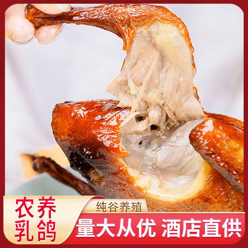 【熟食鸽子】【6只流汁脆皮鸽子】乳鸽玻璃脆皮烤乳鸽子肉