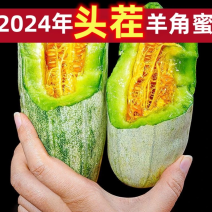 2024年羊角蜜甜瓜农民自家种植欢迎商超电商社区团购批发