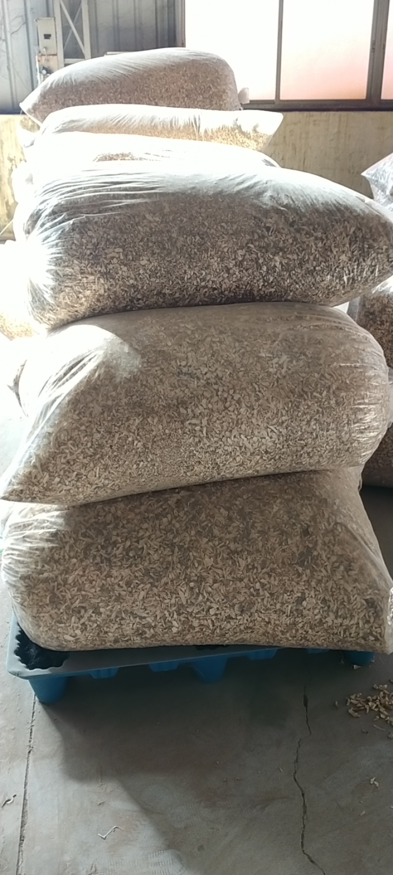 杏鲍菇小块，干净无杂，食品厂专用，常年大量供应