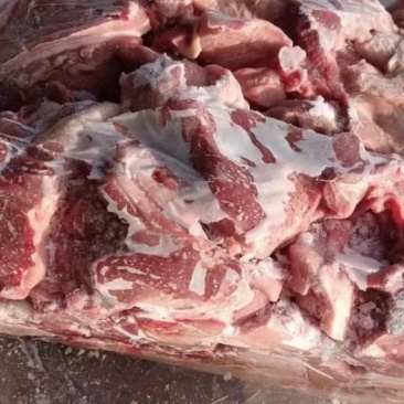 精品母猪正四六碎肉，肥猪碎肉，厂家直销，一手精品，质量保