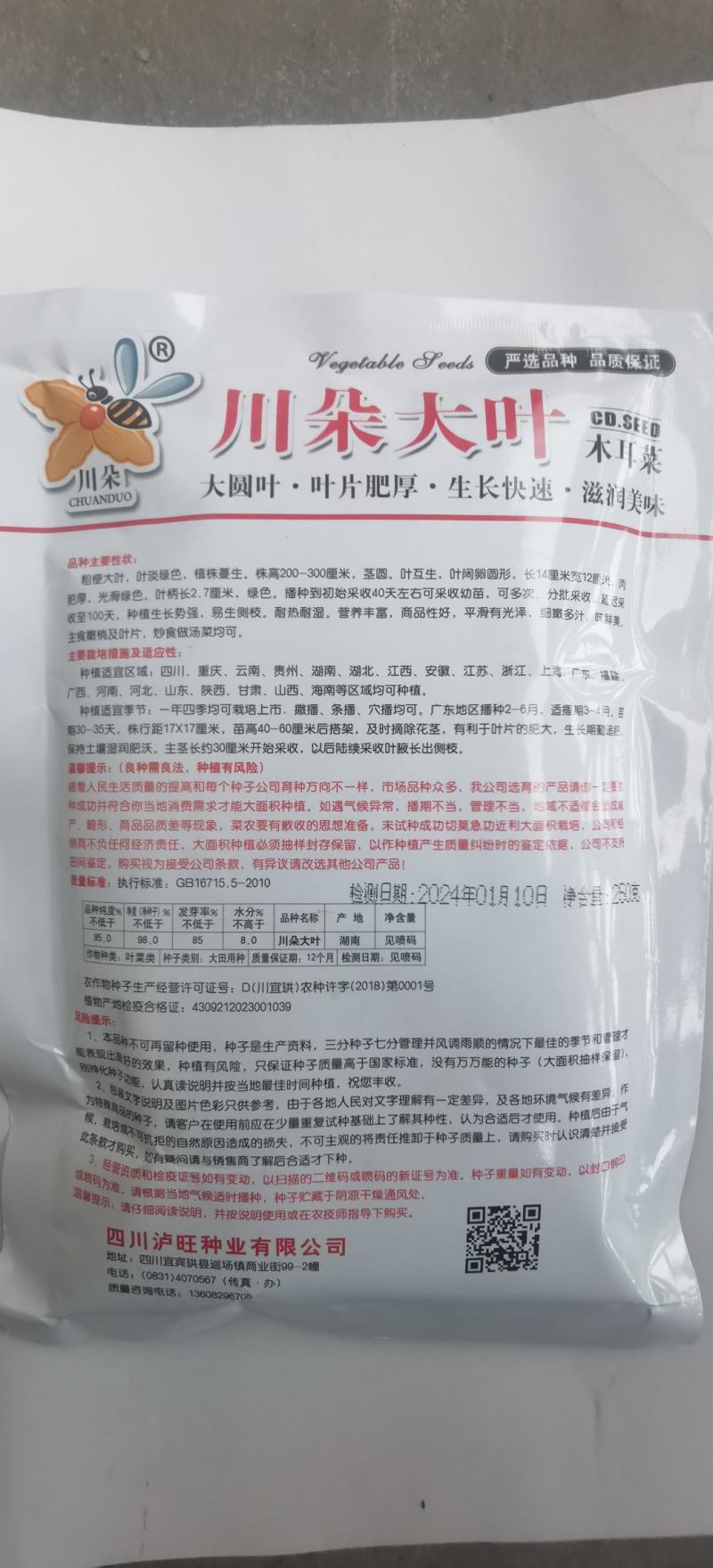 木耳菜种子川朵大叶木耳菜大圆叶厚肉生长迅速鲜香味浓