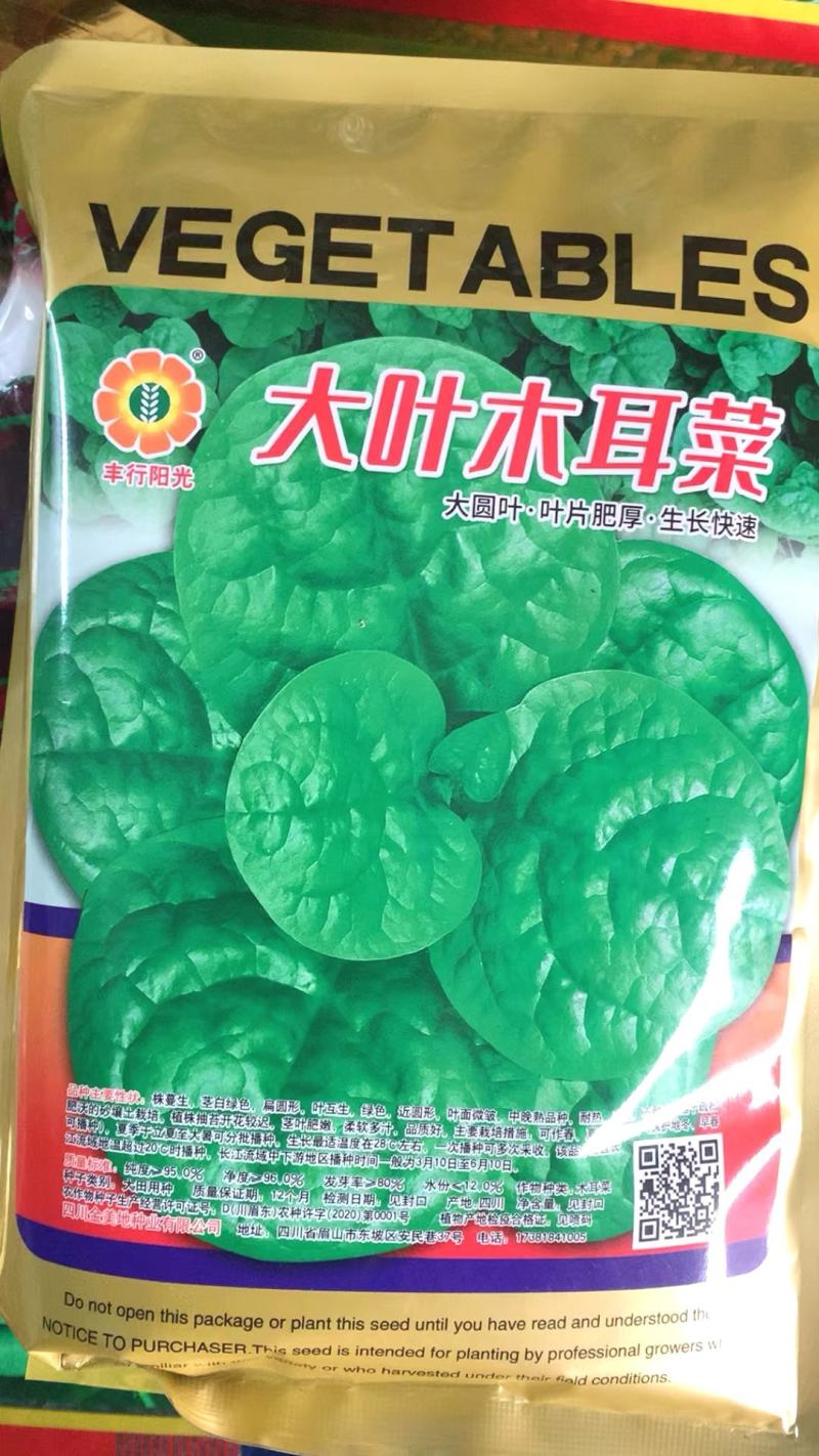 木耳菜种子川朵大叶木耳菜大圆叶厚肉生长迅速鲜香味浓