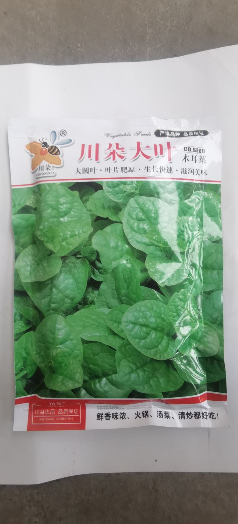 木耳菜种子川朵大叶木耳菜大圆叶厚肉生长迅速鲜香味浓