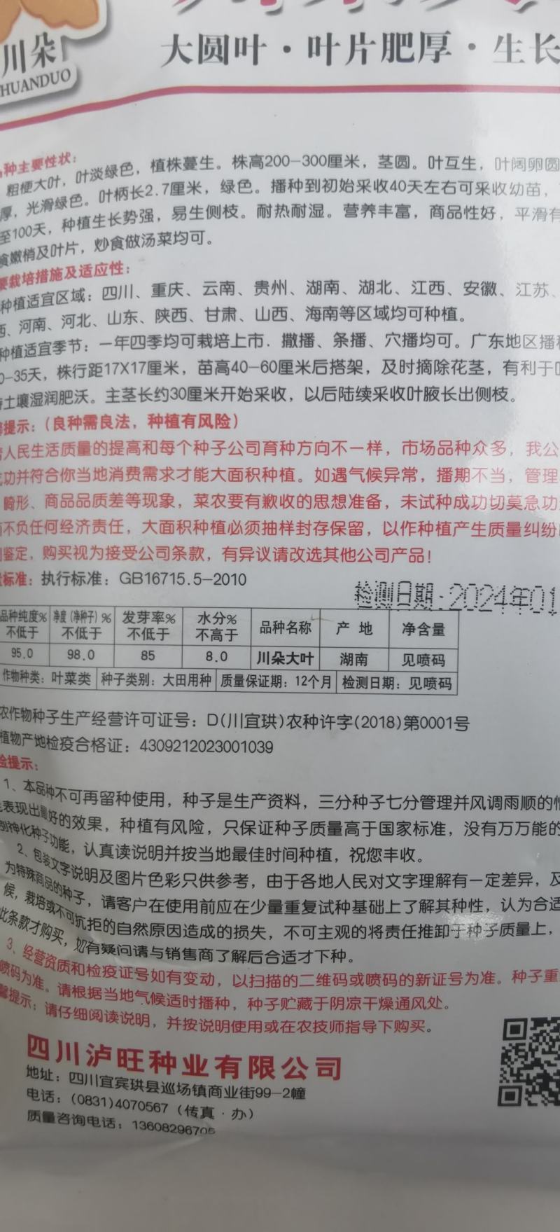木耳菜种子川朵大叶木耳菜大圆叶厚肉生长迅速鲜香味浓